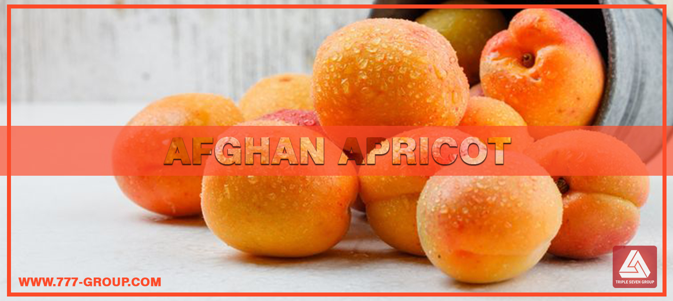 Afghan apricot